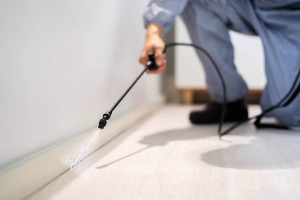 Licensed Cockroach Control service in Matteson, IL - Nex Pest Control