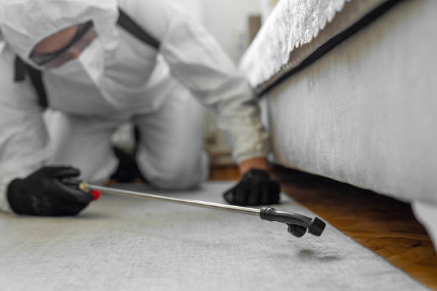 Professional Cockroach Control technician working in Matteson, IL